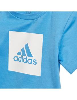 Conjunto Niño adidas logo Azul