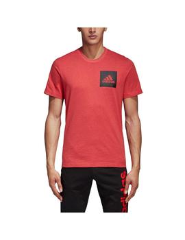 Camiseta adidas Chestlogo Hombre