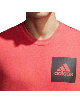 Camiseta adidas Chestlogo Hombre