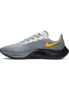 Zapatilla Hombre Nike Pegasus 37 Gris