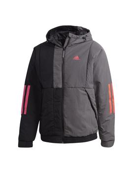 Cazadoras Hombre adidas Hooded Gris