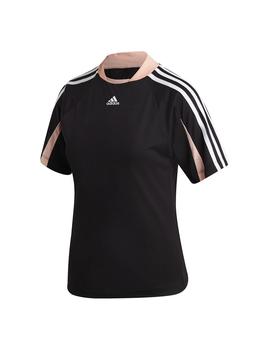 Thumb a03603 1