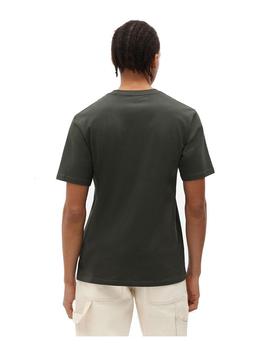 Camiseta Hombre Dickies Mapleton Verde