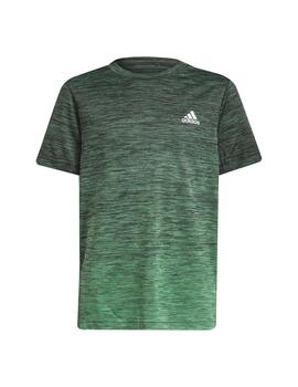 Camiseta Niño adidas Bth.Tdy Bra Verde