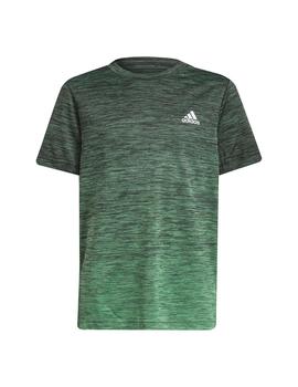 Camiseta Niño adidas Bth.Tdy Bra Verde