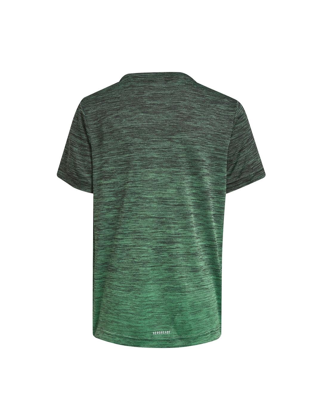 Camiseta Niño adidas Bth.Tdy Bra Verde