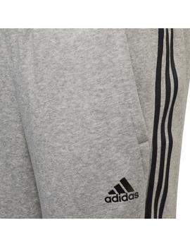 Chandal Niño adidas Winter Verde Gris