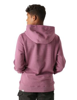 Sudadera Hombre The North Face Drew Peak PLV Morad