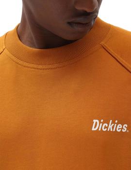 Sudadera Hombre Dickies Bettles Marron