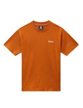 Camiseta Hombre Dickies Bettles Marron