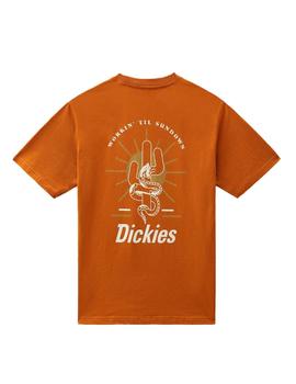 Camiseta Hombre Dickies Bettles Marron