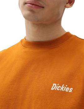 Camiseta Hombre Dickies Bettles Marron