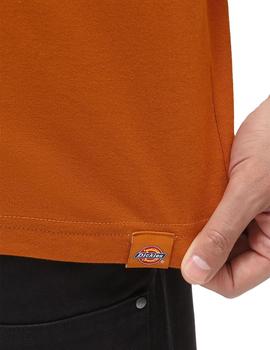 Camiseta Hombre Dickies Bettles Marron