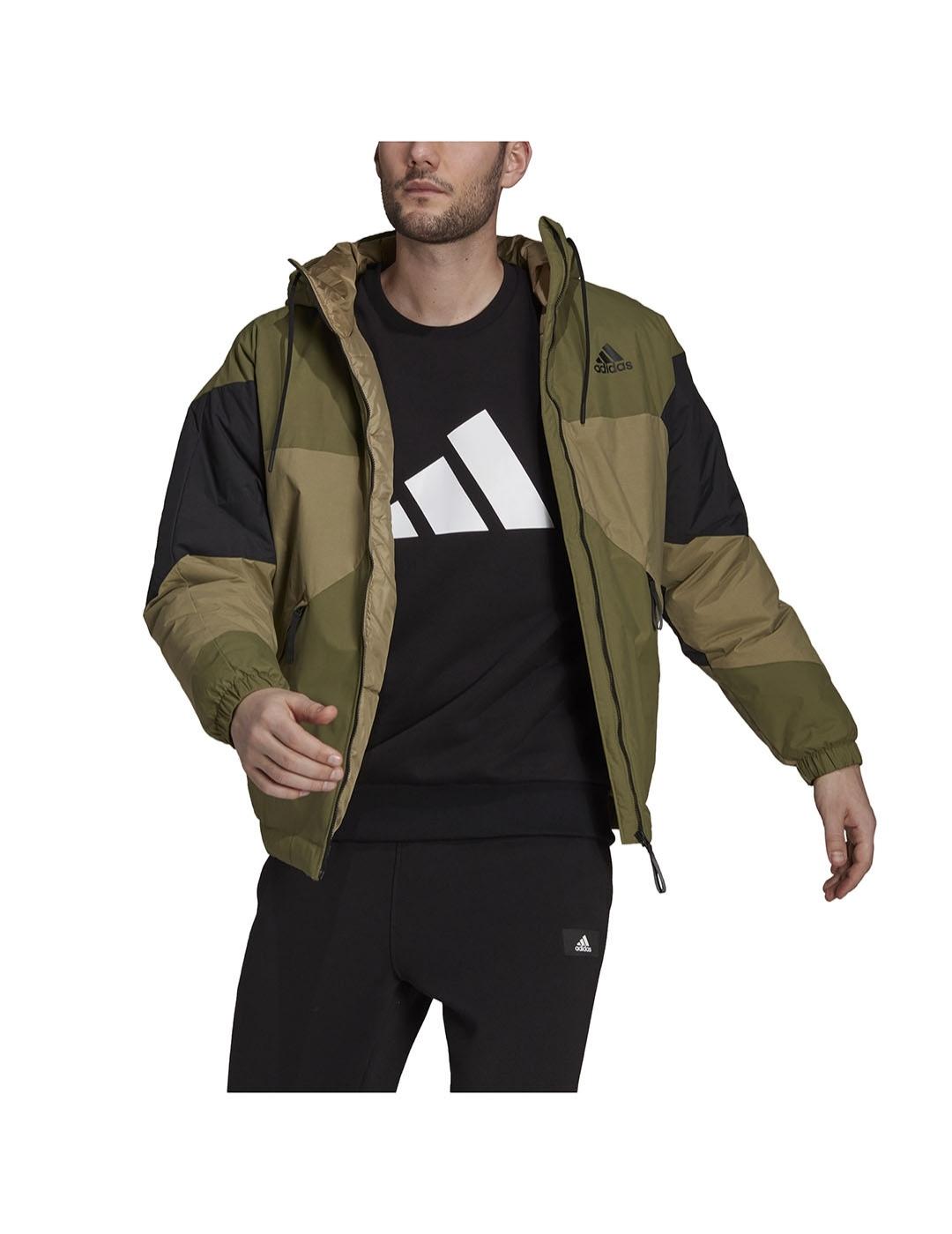 Cazadora Hombre adidas Back to Sport Verde