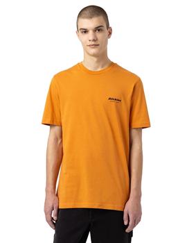 Camiseta Hombre Dickies Artondale box Mostaza