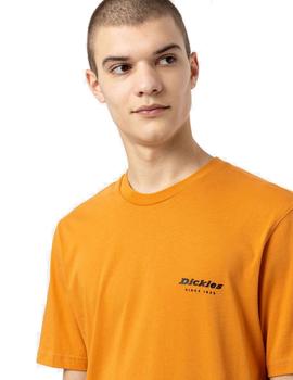 Camiseta Hombre Dickies Artondale box Mostaza