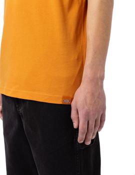 Camiseta Hombre Dickies Artondale box Mostaza