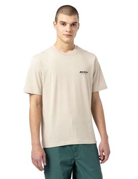 Camiseta Hombre Dickies Artondale Box Beige