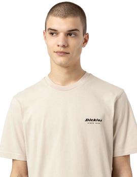 Camiseta Hombre Dickies Artondale Box Beige