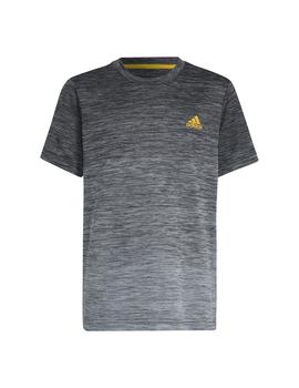 Camiseta Niño adidas B.A.R. Gris