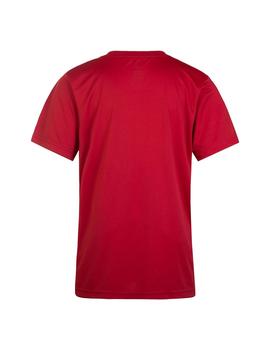 Camiseta Niño Nike Jordan Df Roja