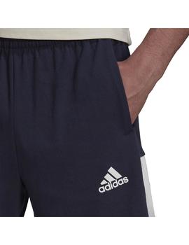 Short Hombre adidas SP SD Marino