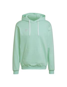 Sudadera Hombre adidas Ent22 Hoody Menta