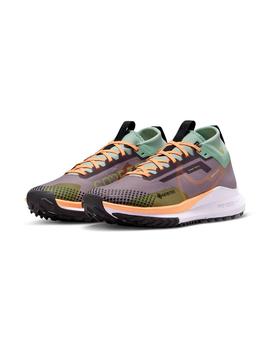 Zapatilla Mujer Nike Pegasus Trail 4 GTX Multicolor