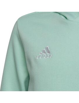 Sudadera Niñ@ adidas Ent22 Hoody Turquesa