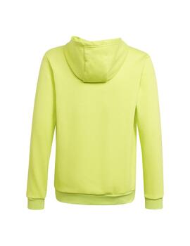 Sudadera Niño adidas ENt22 Hoody Verde