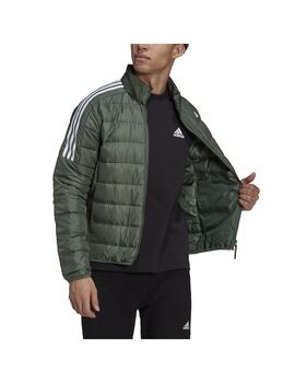 Cazadora Hombre adidas Down Verde