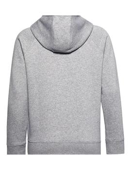 Sudadera Mujer Under Amour Rival Gris