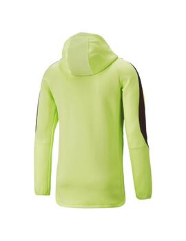 Sudadera Hombre Puma Evostripe Verde