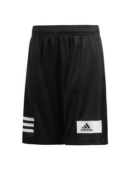 Pantalon adidas Tr Cool Sh Niño Negro