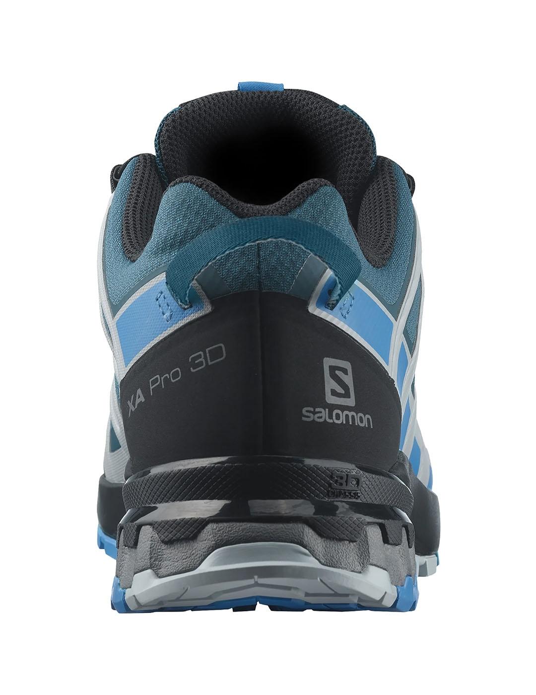 Salomon XA Pro 3D V8 Gore-Tex, Zapatillas de Trail Running Hombre