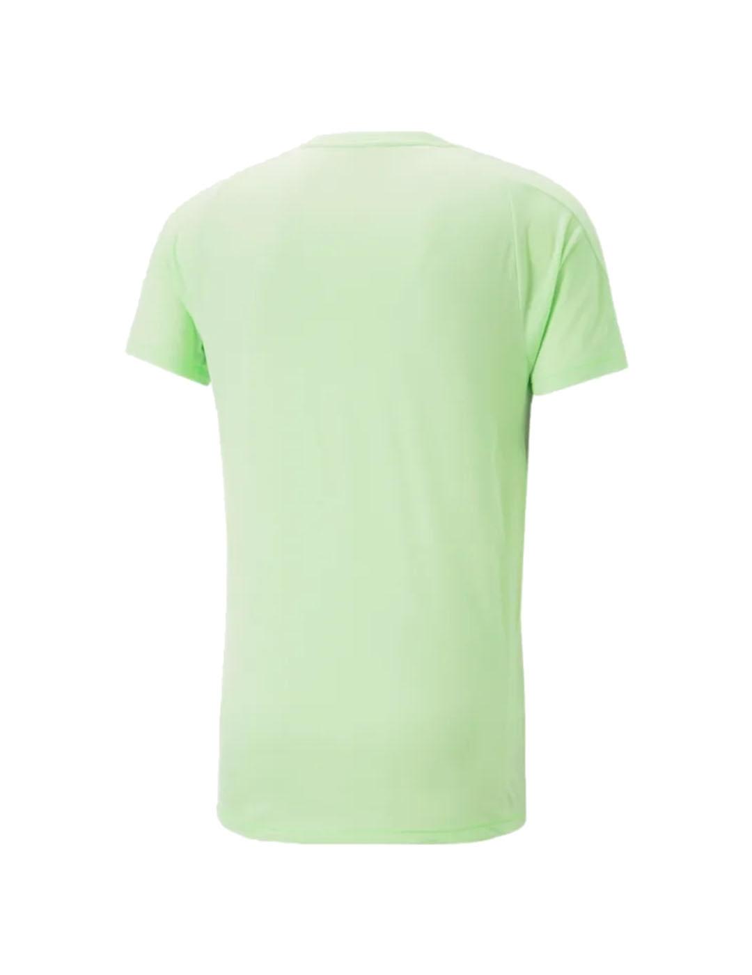 Camiseta Hombre Puma Evostripe Verde