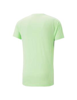 Camiseta Hombre Puma Evostripe Verde