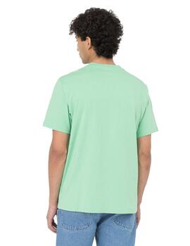 Camiseta Hombre Dickies Mapleton Verde