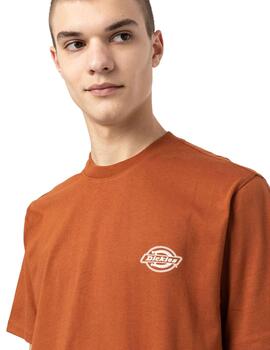 Camiseta Hombre Dickies Holtville Teja