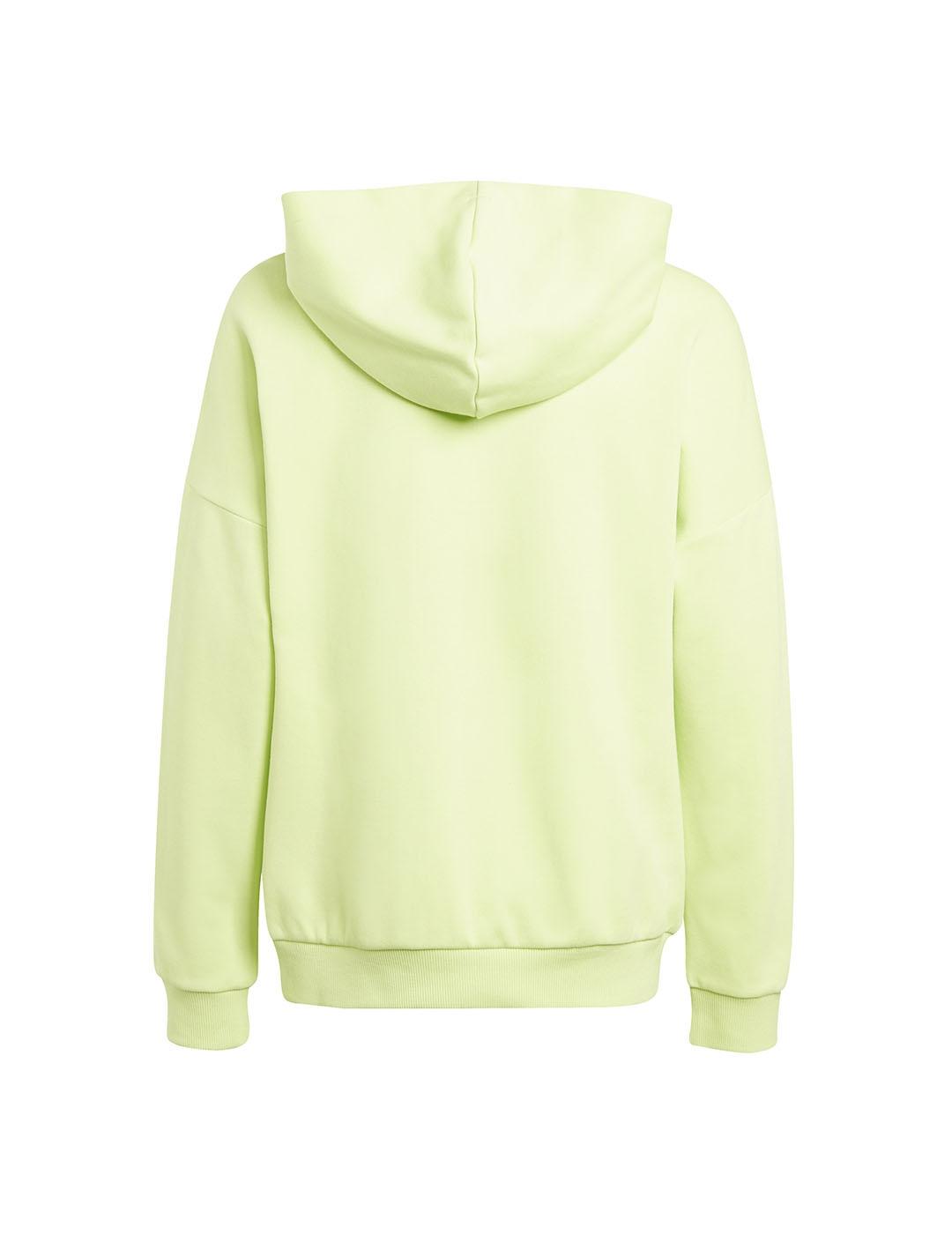 Sudadera Niño adidas FI Logo Verde