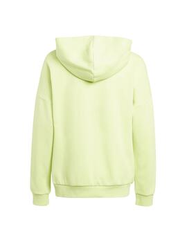 Sudadera Niño adidas FI Logo Verde
