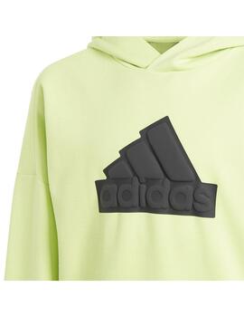 Sudadera Niño adidas FI Logo Verde