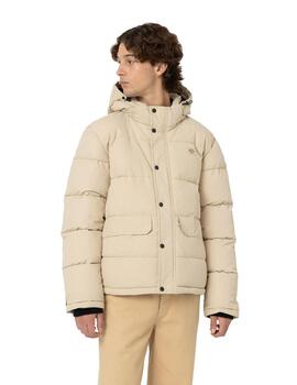 Cazadora Hombre Dickies Glacier Beige