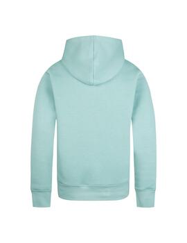 Sudadera Niño Jordan Essentials Verde