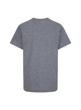 Camiseta Niño Jordan Basic Gris