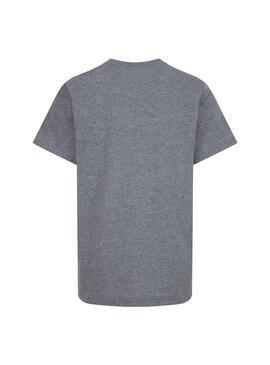 Camiseta Niño Jordan Basic Gris