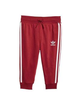 Chandal adidas Trefoil Bebe Granate