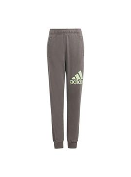 Pantalon Niño/a adidas BL Gris Verde