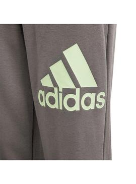 Pantalon Niño/a adidas BL Gris Verde