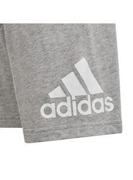 Conjunto Niño adidas CO Royal/Gris